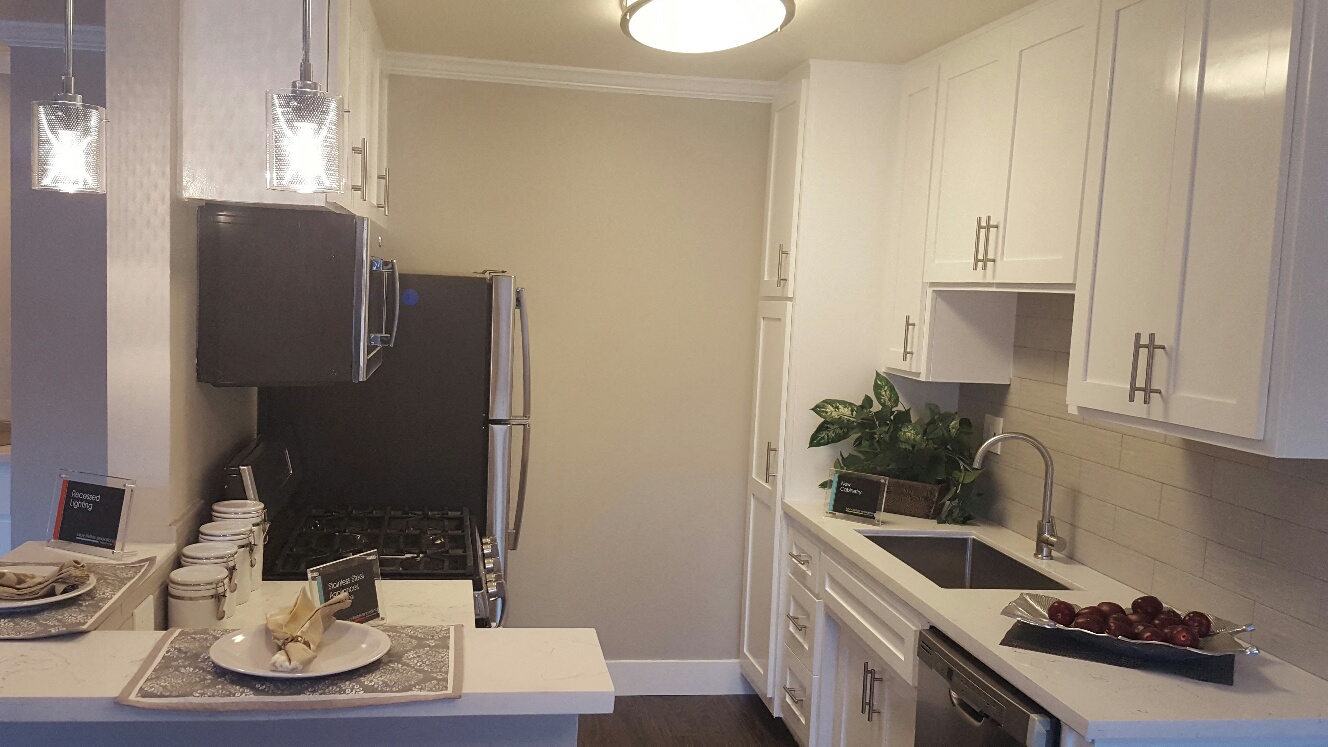 Gallery Photo 27